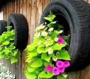 tyres and flowers 2